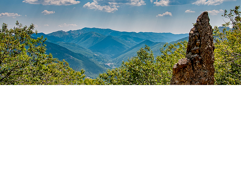 Photo de couverture Cabinet de Naturopathie Éloïse Garcia