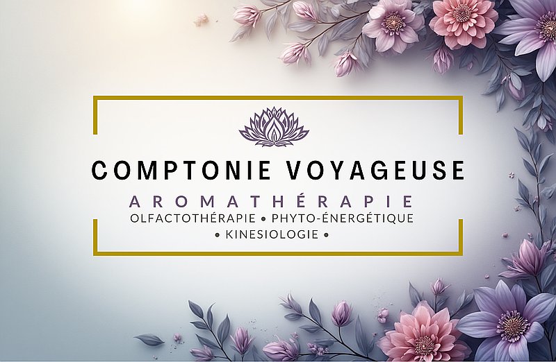 Photo de couverture Comptonie Voyageuse