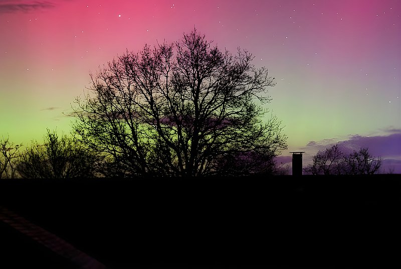 Photo de couverture Pauline Sebillet - Pépite Créative Numérologie