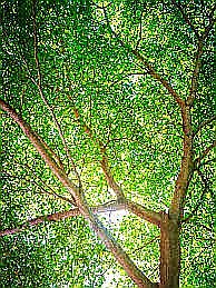 Photo de profil Solène Piano - Psychologue