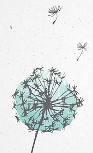 Photo de profil Chloé DUTRIEUX