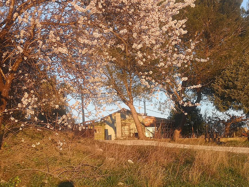 Photo de couverture Laetitia Marchais