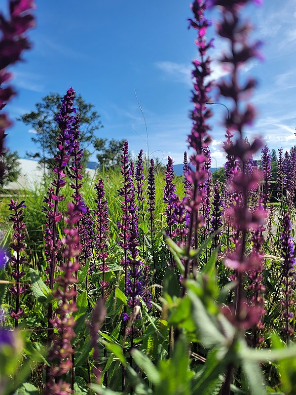 Photo de couverture Marina Gaie - Luneatherapie