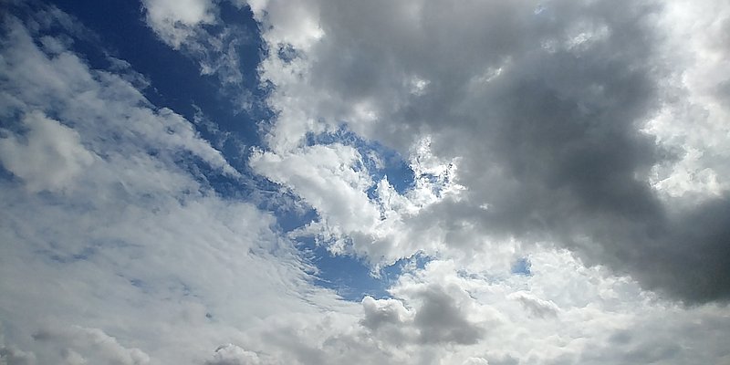 Photo de couverture Dorota Mikolajczyk