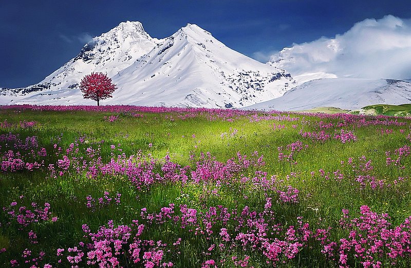 Photo de couverture Sandrinne DEJEAN Naturopathe