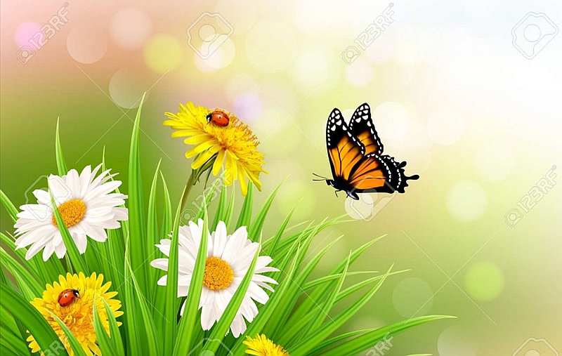 Photo de couverture Cabinet Osmose nature