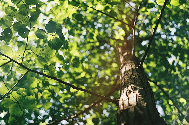 Photo de couverture Cabinet de Rémi BRAYELLE