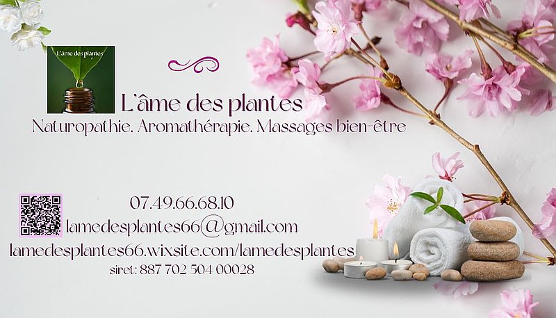 Photo de couverture L'âme des plantes