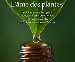 Photo de profil L'âme des plantes