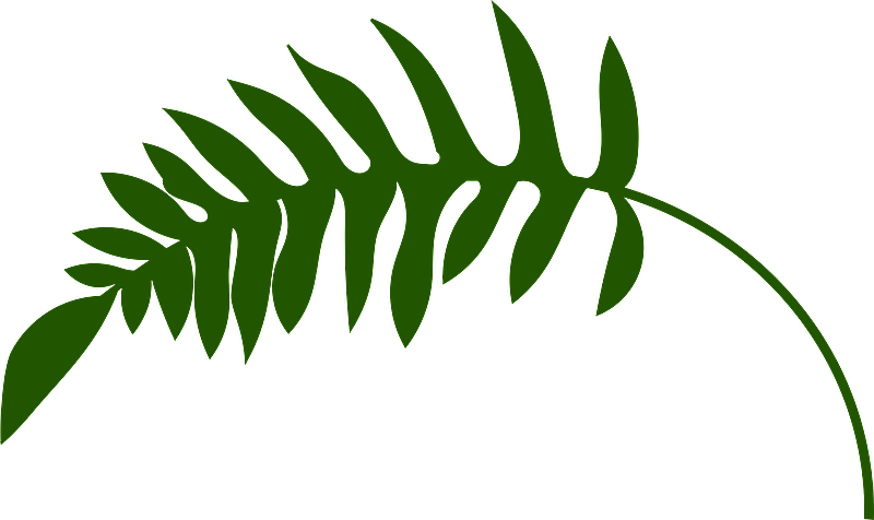Photo de couverture TERRE & ÊTRE