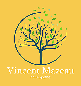Photo de profil Cabinet Vincent Mazeau