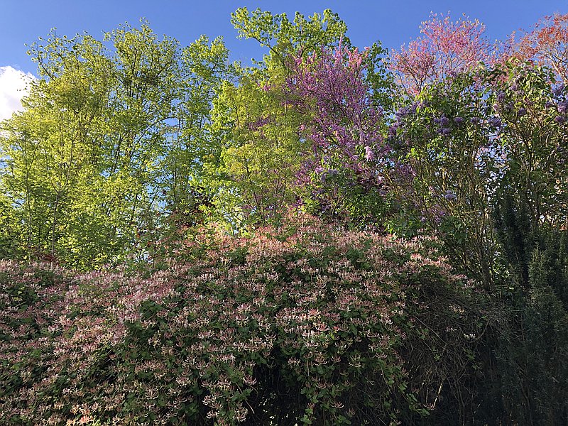 Photo de couverture Adeline PY