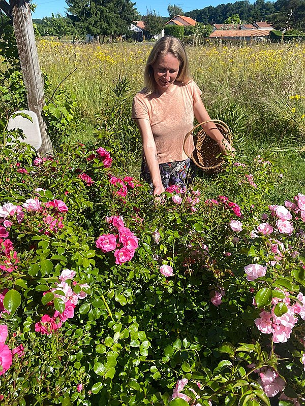 Photo de couverture Lizzyel Phyto