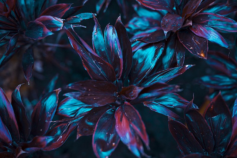 Photo de couverture Best of Both - Heitiaré HOHMATTER