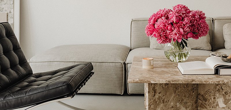 Photo de couverture Bloom par Ema Bertin