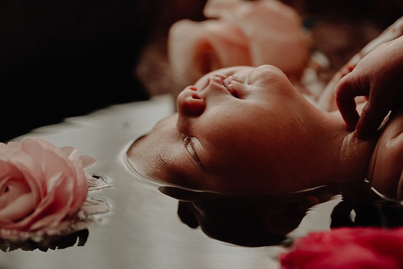 Photo de couverture Un lien pour la vie