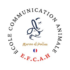 Photo de profil Communication animale holistique