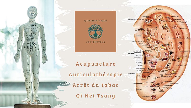 Photo de couverture Cabinet de Kinésithérapie & Acupuncture de Quentin Dambach